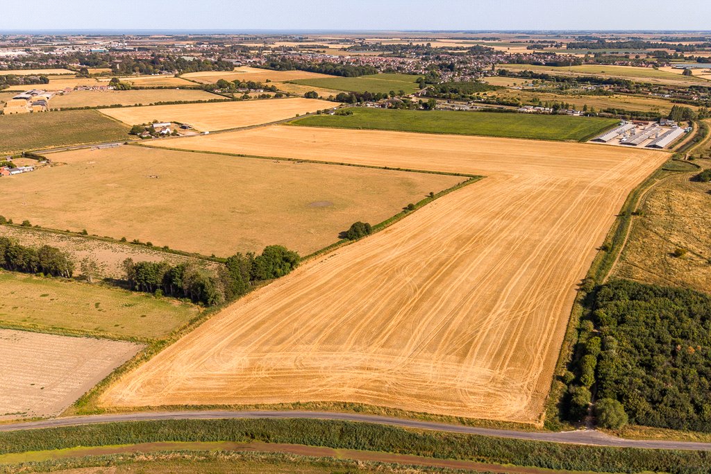 Arable Land