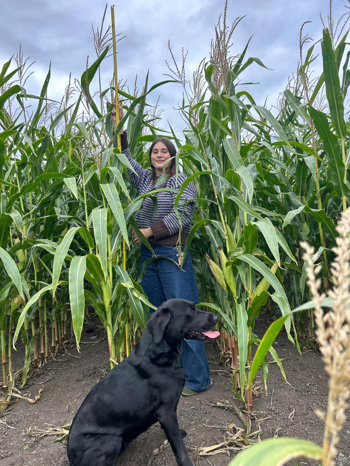 Picture No. 02